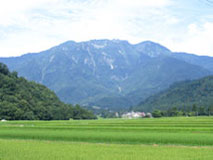 八海山とコシヒカリ