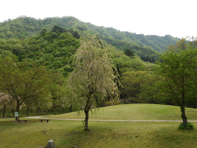 銭淵公園　南魚沼市