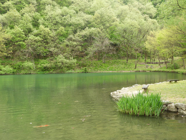 銭淵公園　南魚沼市